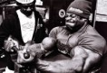 /album/fotogaleria/kaigreene-jpg/