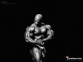 /album/fotogaleria/ronnie-coleman-2-jpg/
